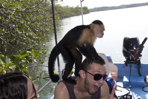 פארק מנואל אנטוניו