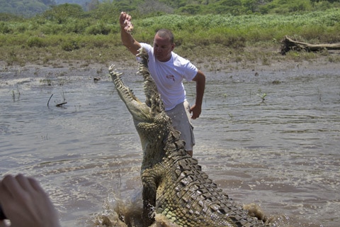 סיור לצפייה בתנינים