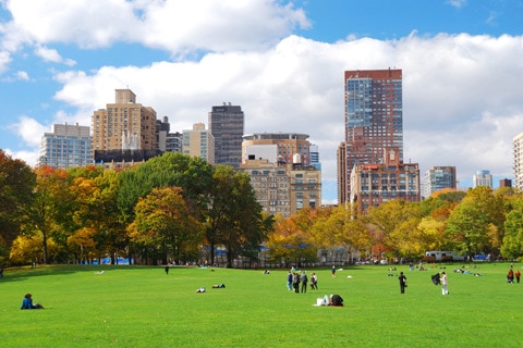 עירוני אבל מלא ירוק