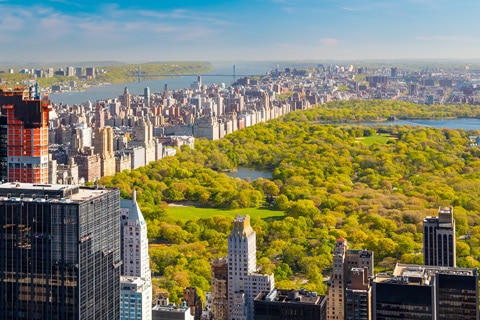 סנטרל פארק ניו יורק