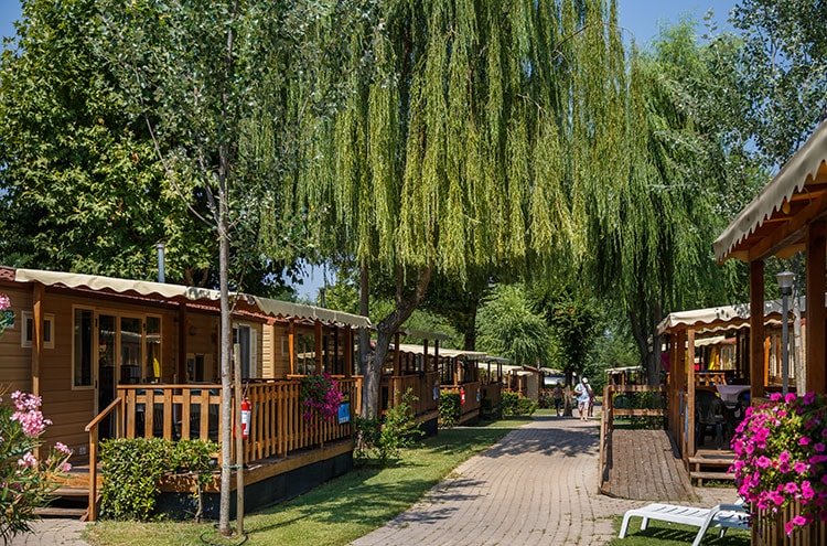 רחוב קטן עם בקתות עץ