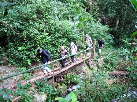 טיולי טבע בצ'אנג מאי