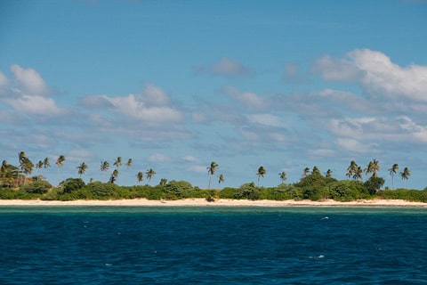 חופשה של רוגע פיג'י