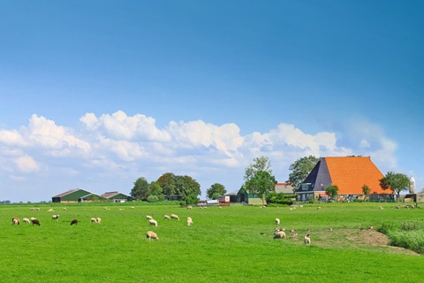 חלום שהופך מציאות