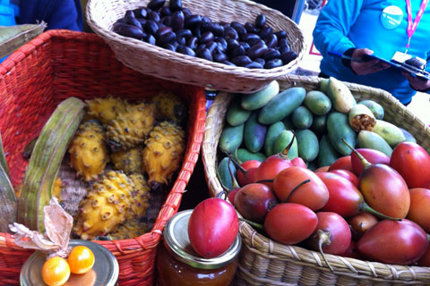 פרות וירקות טריים בפרו