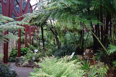 קיו גארדנס, לונדון