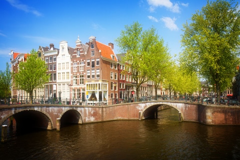 תעלות לאורך העיר