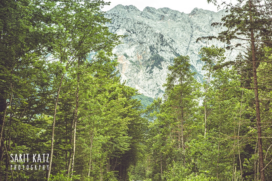 לוגרסקה דולינה, סלובניה