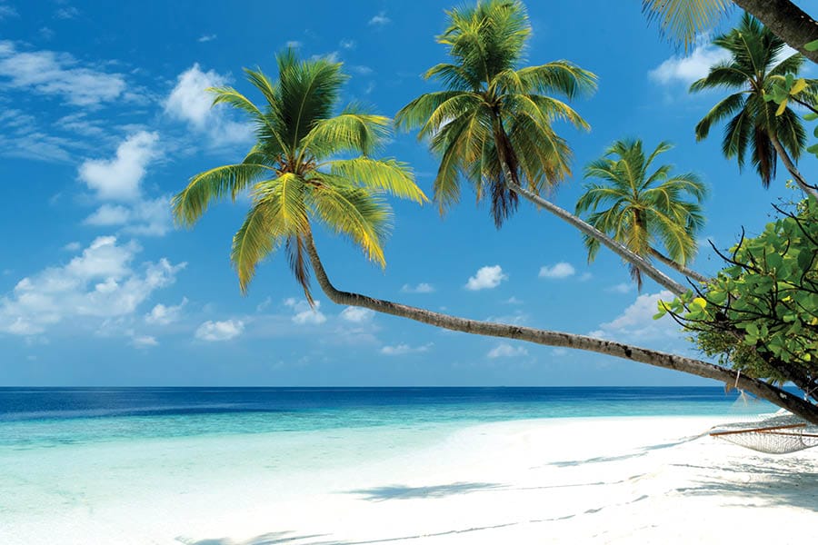 חוף ים במלדיבים