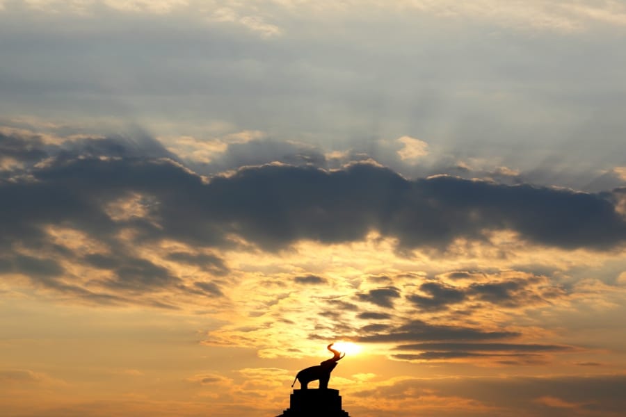 צ'אנג מאי ספארי לילה