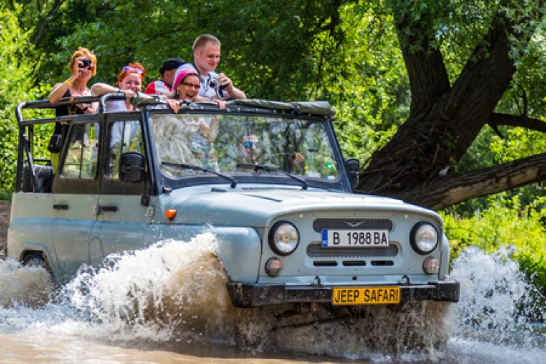 טיול ג'יפים בהרים בתוך היער