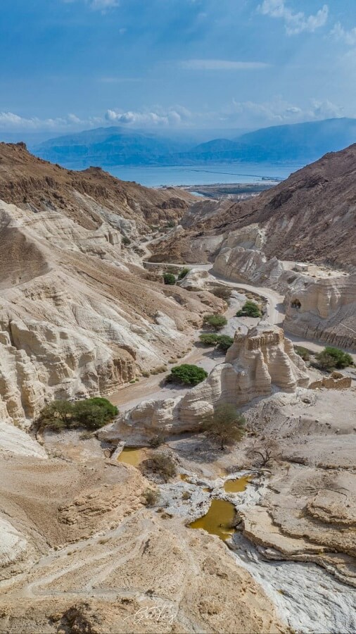 נחל זוהר ים המלח