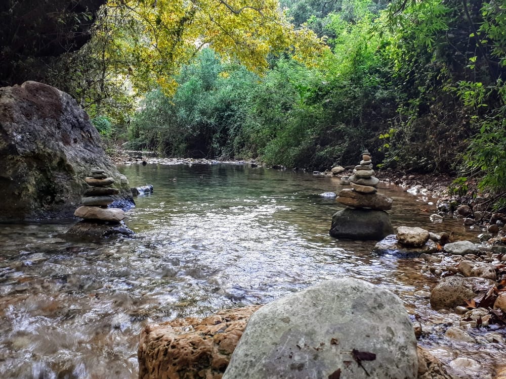 מים מוקפים חורש